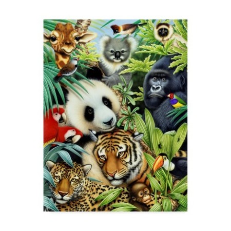 TRADEMARK FINE ART Howard Robinson 'Colorful Jungle Portrait' Canvas Art, 14x19 ALI24101-C1419GG